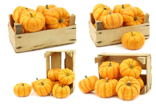 Small Yellow Orange Pumpkins Wooden Crate White Background — Stock Photo, Image