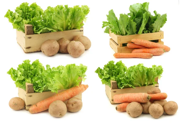 Fresh Endive Potatoes Some Winter Carrots Wooden Crate White Background — Stock Photo, Image