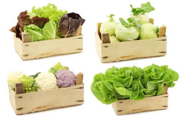 Verduras Frescas Para Cocinar Una Caja Madera Sobre Fondo Blanco — Foto de Stock