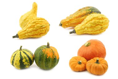 Beyaz arkaplanda dekoratif balkabakları