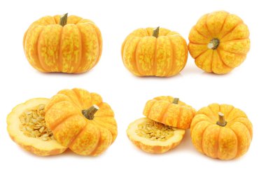 Beyaz arkaplanda küçük turuncu balkabakları