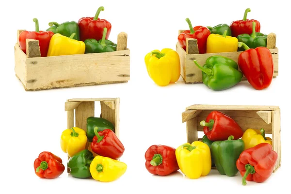 Färgglad Blandning Paprika Capsicum Trälåda Vit Bakgrund — Stockfoto