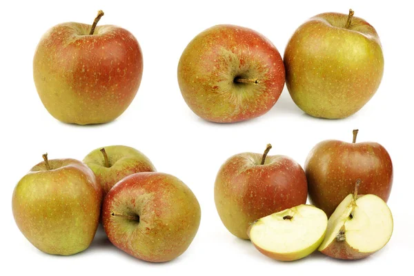 Manzanas Holandesas Tradicionales Llamadas Goudrenet Algunas Piezas Usadas Para Hacer —  Fotos de Stock