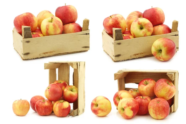 Manzanas Frescas Miel Crujiente Una Caja Madera Sobre Fondo Blanco —  Fotos de Stock