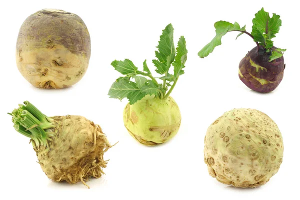 Assortment Root Vegetables White Background — Stock Photo, Image