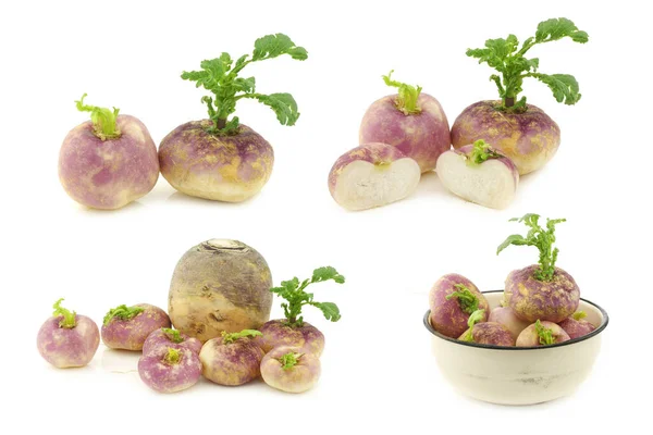 Freshly Harvested Spring Turnips Brassica Rapa White Background — Stock Photo, Image