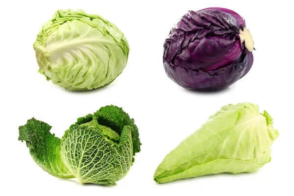 Fresh Red Cabbage White Cabbage Green Cabbage Pointed Cabbage White — Stock Photo, Image