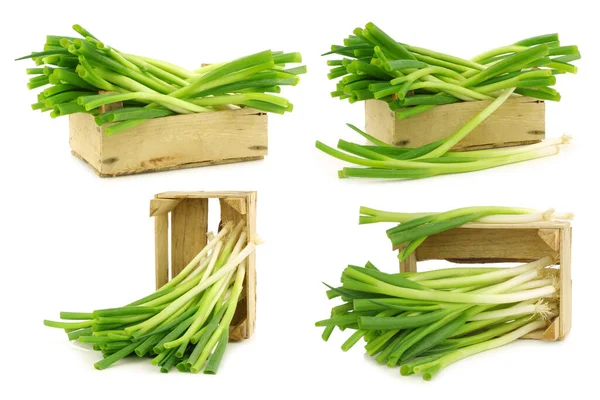 Fresh Green Onions Wooden Crate White Background — Stock Photo, Image