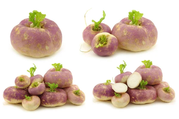 Freshly Harvested Spring Turnips Brassica Rapa White Background — Stock Photo, Image