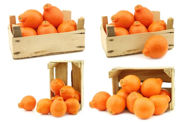 Fresh Colorful Minneola Tangelo Fruit Wooden Crate White Background — Stock Photo, Image