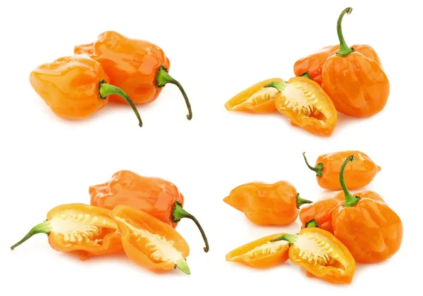 Spicy Hot Adjuma Pepper Capsicum Chinense Cut One White Background — Stock Photo, Image