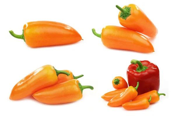 Kleurrijke Zoete Snack Pepers Een Rode Paprika Een Witte Achtergrond — Stockfoto