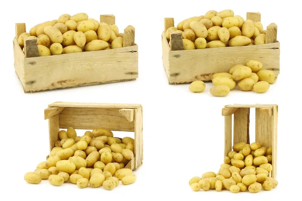 Freshly Harvested Dutch Seed Potatoes Krieltjes Wooden Box White Background — Stock Photo, Image