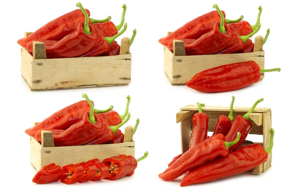 Fresh Red Sweet Peppers Capsicum Wooden Crate White Background — Stock Photo, Image