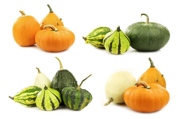 Colorful Decorative Pumpkins White Background — Stock Photo, Image