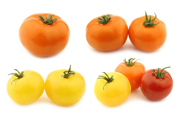 Tomates Mistos Vermelhos Amarelos Laranja Vermelhos Sobre Fundo Branco — Fotografia de Stock