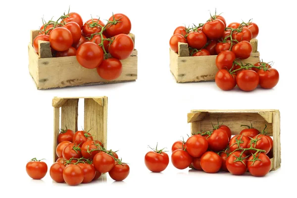 Fresh Tomatoes Vine Wooden Crate White Background — Stock Photo, Image