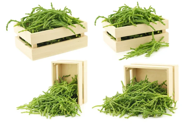 Verse Samphire Een Houten Doos Een Witte Achtergrond — Stockfoto