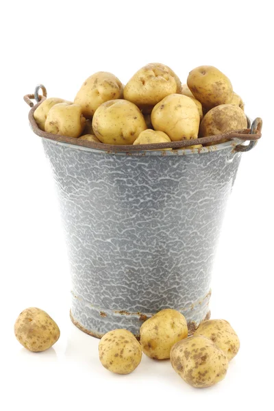Bunch of potatoes in an old enamel bucket Stock Picture
