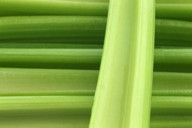 taze kereviz köklerini