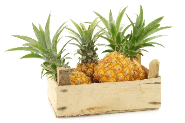Frische Mini-Ananasfrüchte in einer Holzkiste — Stockfoto