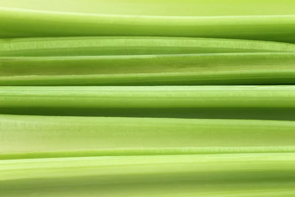 Fresh celery stems — Stock Photo, Image
