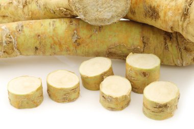 taze kesilmiş horseradish adet hasat