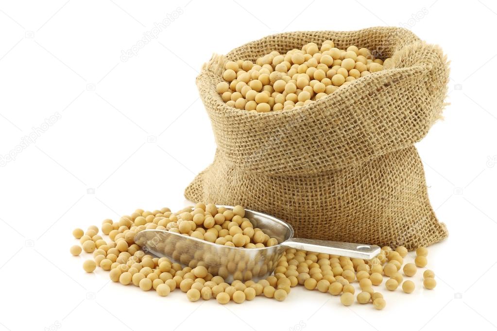 Soy beans in a burlap bag with an aluminum scoop