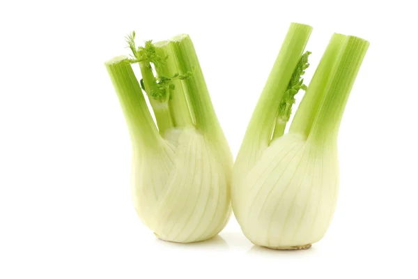 Fennel Segar — Stok Foto