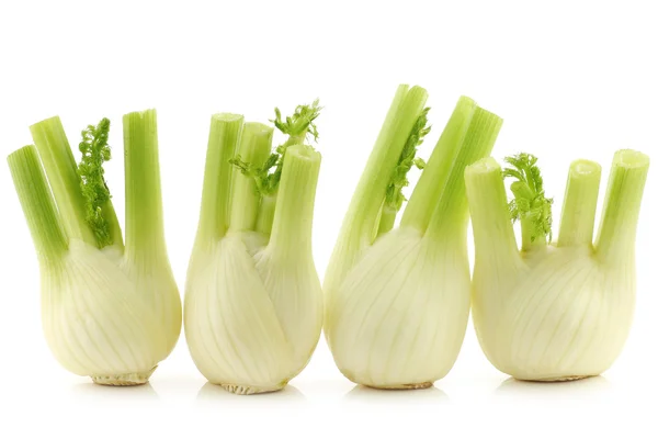 Frischer Fenchel — Stockfoto