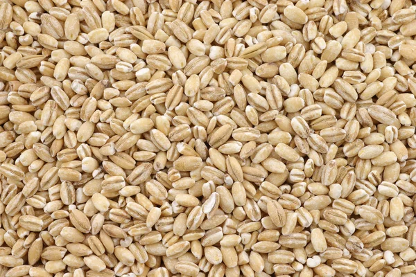 Raw organic barley — Stock Photo, Image