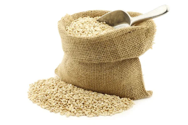 Raw organic barley in a burlap bag with an aluminum scoop — Stock Photo, Image