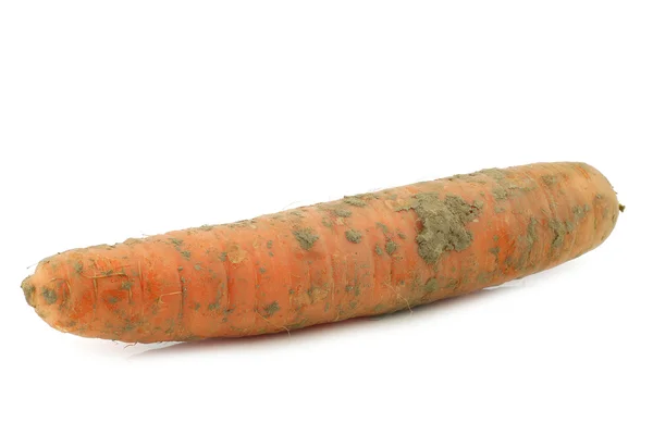Χειμώνα καρότα — Φωτογραφία Αρχείου
