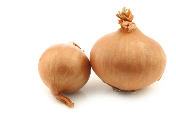 Two shallots — Stock Photo, Image