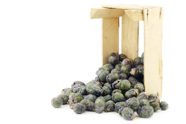 Пурпурная брюссельская капуста в деревянном ящике — стоковое фото