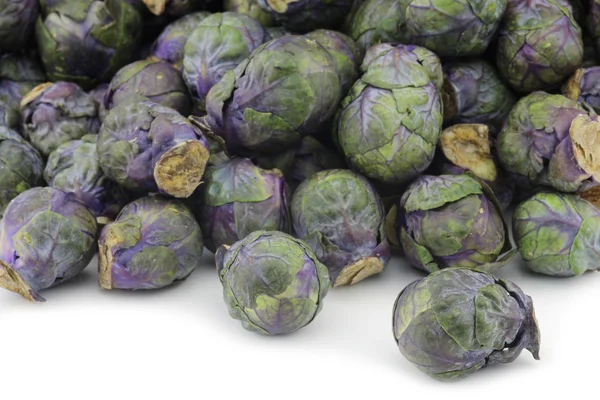Пурпурная брюссельская капуста — стоковое фото