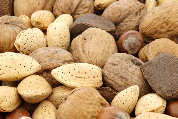 Assorted nuts — Stock Photo, Image