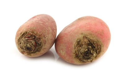 taze kırmızı pancar kökleri hasat