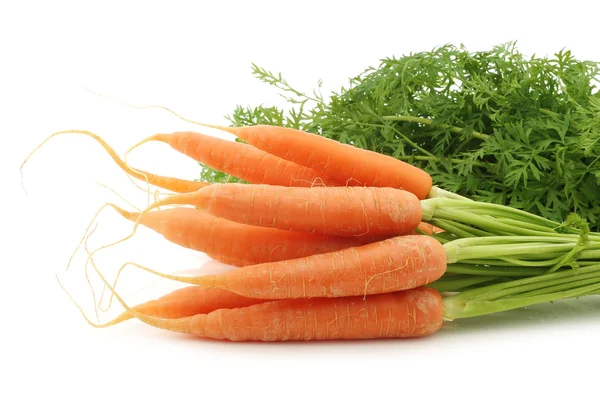 Freshly harvested carrots — Stock Photo, Image