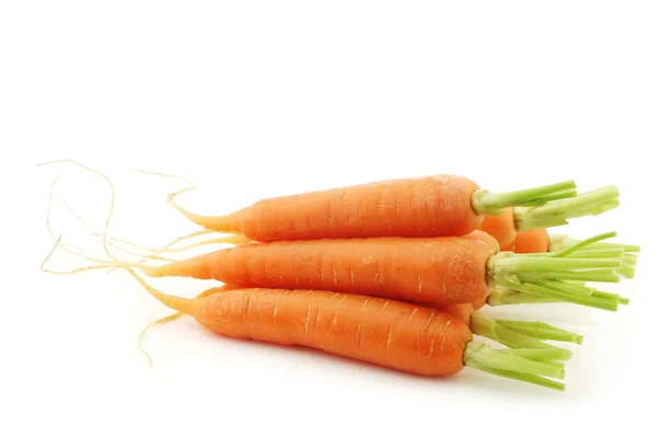 Freshly harvested carrots — Stock Photo, Image