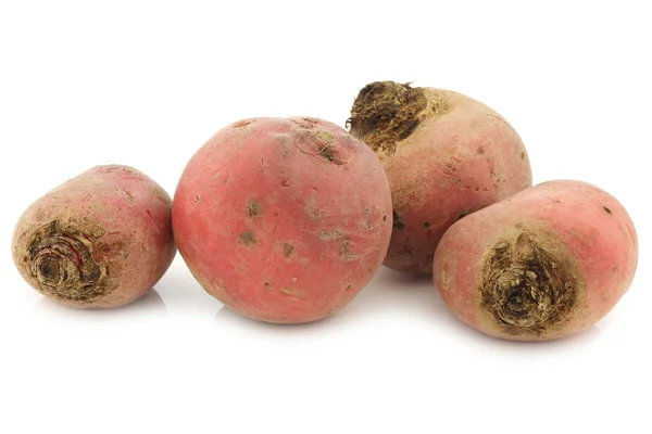 Freshly harvested red beet roots — Stock Photo, Image