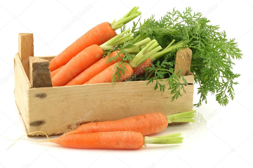 Freshly harvested bunch of carrots in a wooden box