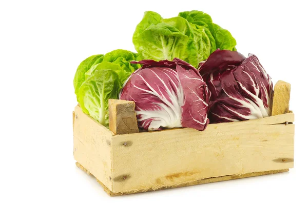 Red "radicchio" lettuce and green "little gem"lettuce in a wooden box — Stock Photo, Image