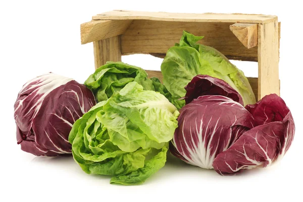 Red "radicchio" lettuce and green "little gem"lettuce in a wooden box — Stock Photo, Image