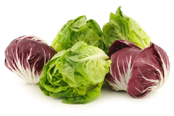 Piros "radicchio" saláta és zöld "kis gyöngyszem" saláta — Stock Fotó