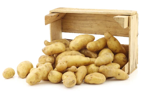 Originele Franse "ratte" aardappelen (Solanum tuberosum) — Stockfoto