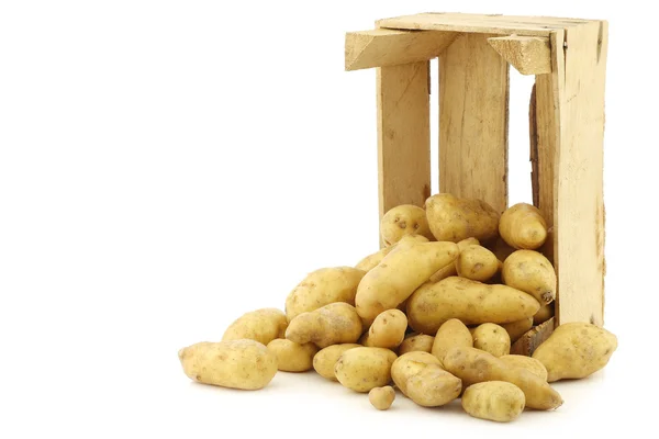 Original französische "ratte" Kartoffeln (solanum tuberosum)) — Stockfoto