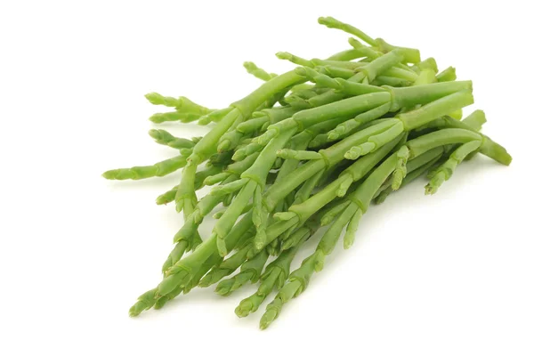 Verse Samphire — Stockfoto