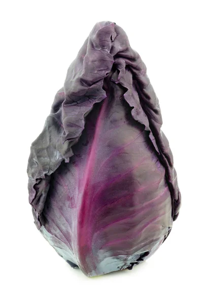 Freshly harvested red pointed cabbage — Stock Photo, Image