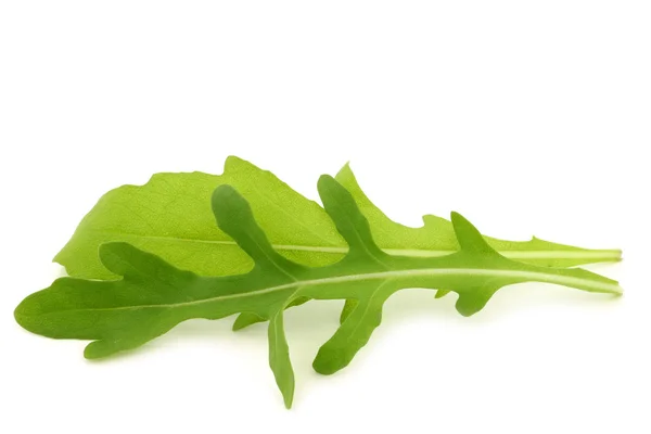 Hojas frescas de rúcula (Eruca sativa ) — Foto de Stock